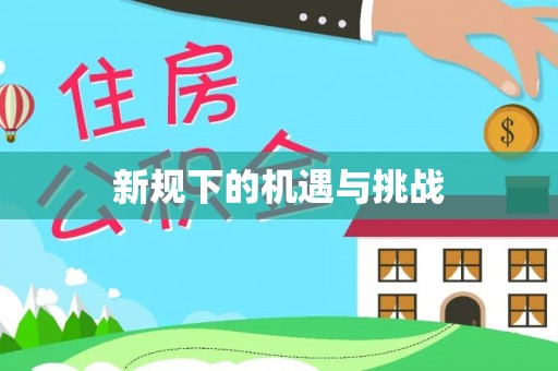 万峦新规下的机遇与挑战